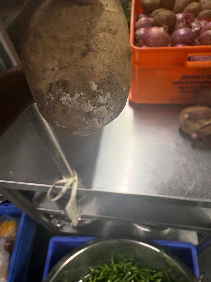 AnTeRa kitchen inspection photo